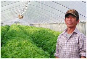 ��t�͔̍|�̗l�q