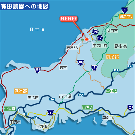 �L�c�_���E�n�}