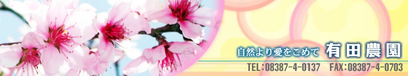 ���̎Y�n�����Ȃ�L�c�_��